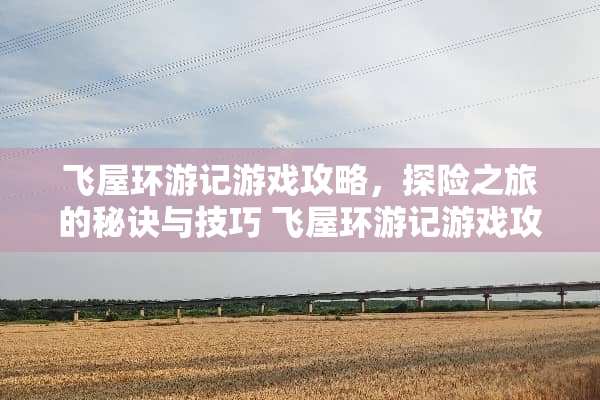 飞屋环游记游戏攻略，探险之旅的秘诀与技巧 飞屋环游记游戏攻略