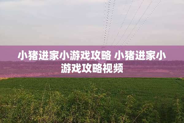 小猪进家小游戏攻略 小猪进家小游戏攻略视频