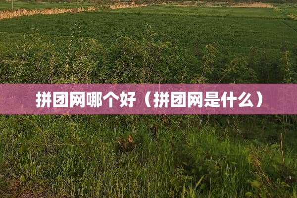 拼团网哪个好（拼团网是什么）