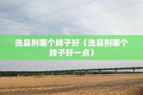洗鼻剂哪个牌子好（洗鼻剂哪个牌子好一点）