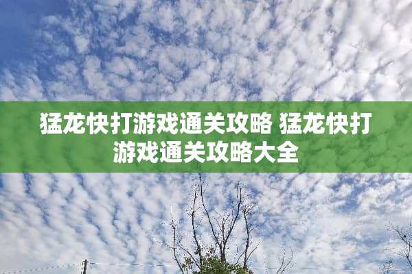 猛龙快打游戏通关攻略 猛龙快打游戏通关攻略大全