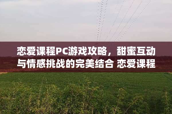 恋爱课程PC游戏攻略，甜蜜互动与情感挑战的完美结合 恋爱课程pc游戏攻略