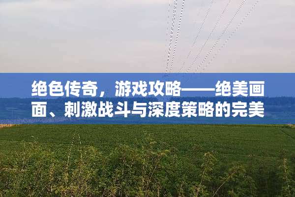 绝色传奇，游戏攻略——绝美画面、**战斗与深度策略的完美结合 绝色传奇游戏攻略