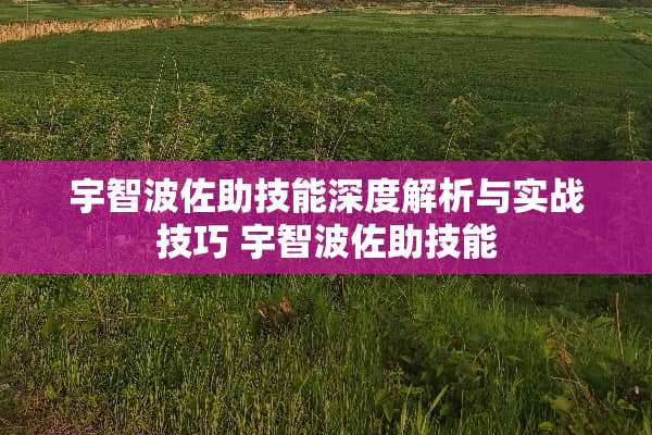 宇智波佐助技能深度解析与实战技巧 宇智波佐助技能