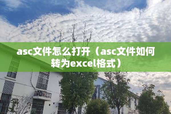 asc文件怎么打开（asc文件如何转为excel格式）