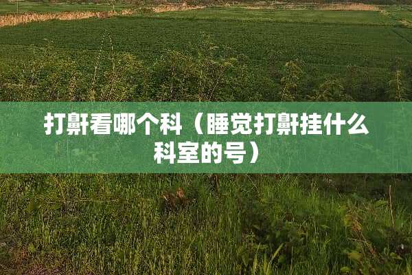 打鼾看哪个科（睡觉打鼾挂什么科室的号）