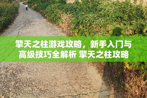 擎天之柱游戏攻略，新手入门与高级技巧全解析 擎天之柱攻略