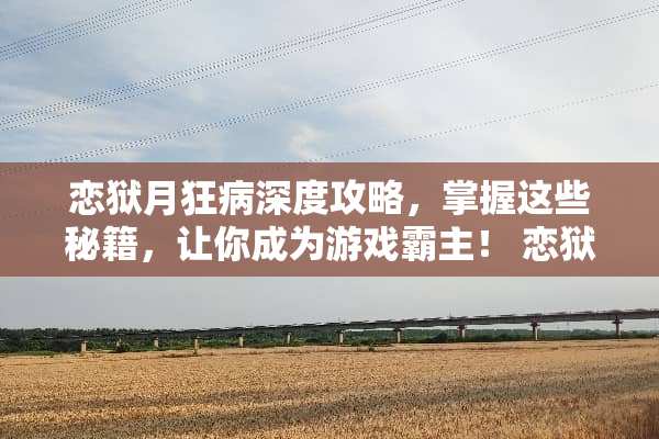 恋狱月狂病深度攻略，掌握这些秘籍，让你成为游戏霸主！ 恋狱月狂病攻略