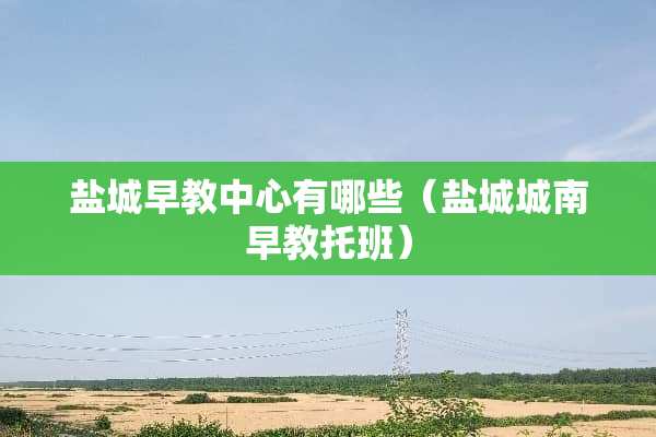 盐城早教中心有哪些（盐城城南早教托班）