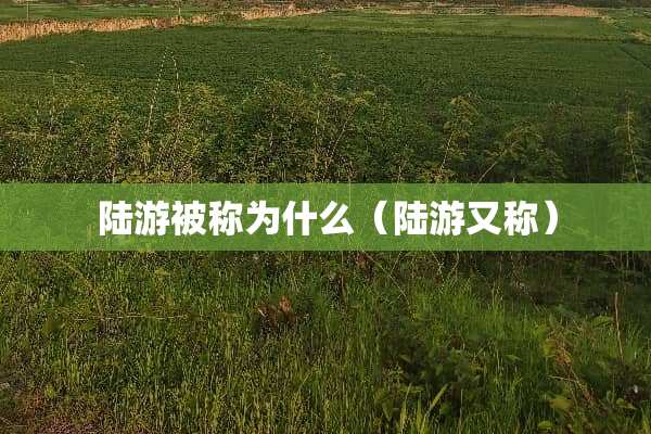 陆游被称为什么（陆游又称）