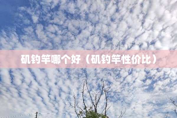 矶钓竿哪个好（矶钓竿性价比）