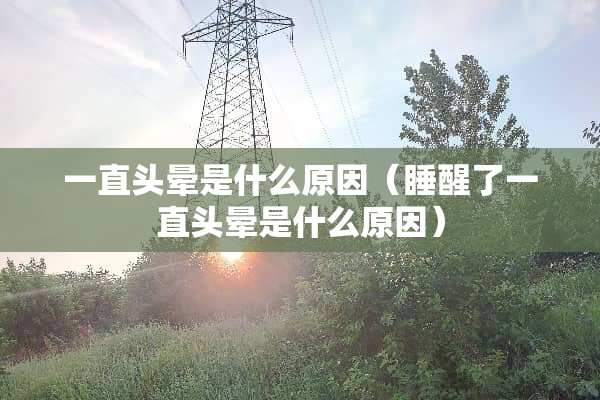 一直头晕是什么原因（睡醒了一直头晕是什么原因）