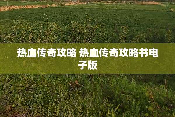 热血传奇攻略 热血传奇攻略书电子版
