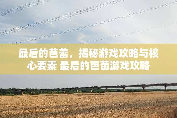 最后的芭蕾，揭秘游戏攻略与核心要素 最后的芭蕾游戏攻略
