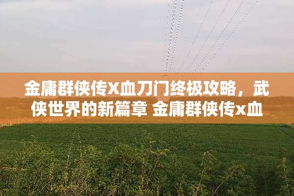 金庸群侠传X血刀门终极攻略，武侠世界的新篇章 金庸群侠传x血刀门攻略