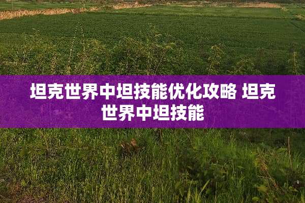 坦克世界中坦技能优化攻略 坦克世界中坦技能