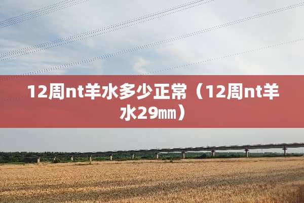 12周nt羊水多少正常（12周nt羊水29㎜）