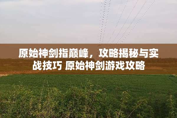 原始神剑指巅峰，攻略揭秘与实战技巧 原始神剑游戏攻略