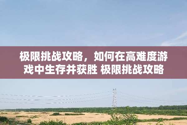 极限挑战攻略，如何在高难度游戏中生存并获胜 极限挑战攻略