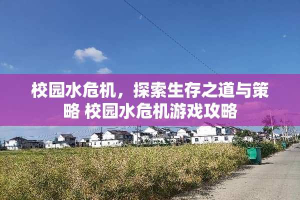 校园水危机，探索生存之道与策略 校园水危机游戏攻略