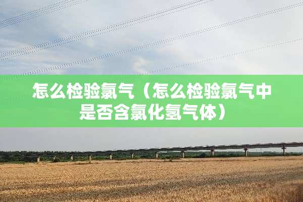 怎么检验氯气（怎么检验氯气中是否含氯化氢气体）