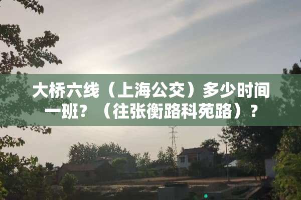 大桥六线（上海公交）多少时间一班？（往张衡路科苑路）？