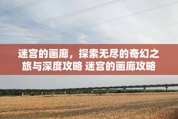 迷宫的画廊，探索无尽的奇幻之旅与深度攻略 迷宫的画廊攻略