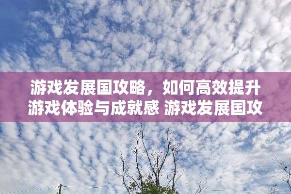 游戏发展国攻略，如何高效提升游戏体验与成就感 游戏发展国攻略