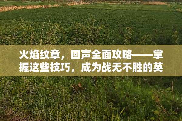 火焰纹章，回声全面攻略——掌握这些技巧，成为战无不胜的英雄 火焰纹章回声攻略