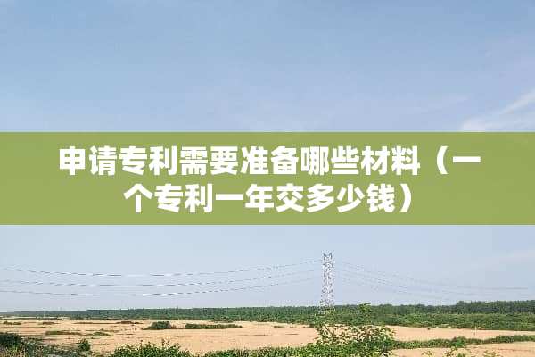 申请专利需要准备哪些材料（一个专利一年交多少钱）