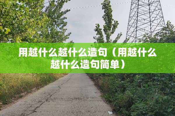 用越什么越什么造句（用越什么越什么造句简单）