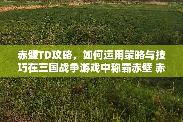 赤壁TD攻略，如何运用策略与技巧在三国战争游戏中称霸赤壁 赤壁td攻略