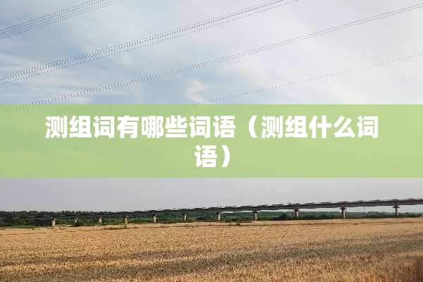 测组词有哪些词语（测组什么词语）