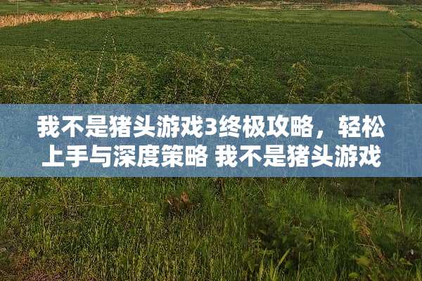 我不是猪头游戏3终极攻略，轻松上手与深度策略 我不是猪头游戏34攻略