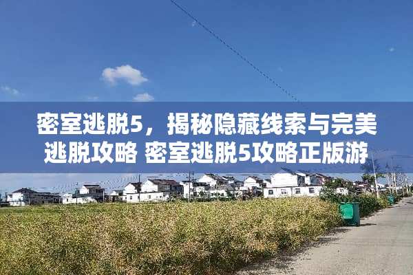密室逃脱5，揭秘隐藏线索与完美逃脱攻略 密室逃脱5攻略正版游戏