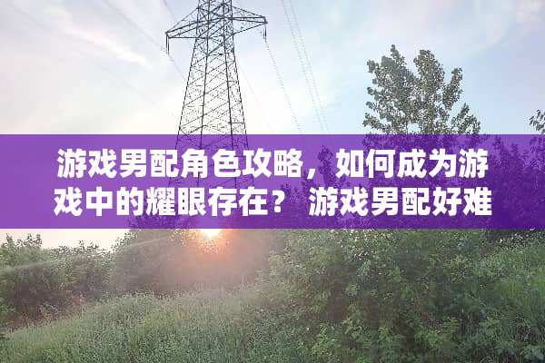 游戏男配角色攻略，如何成为游戏中的耀眼存在？ 游戏男配好难当的攻略