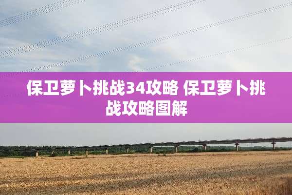 保卫萝卜挑战34攻略 保卫萝卜挑战攻略图解