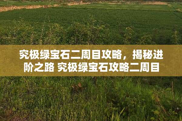 究极绿宝石二周目攻略，揭秘进阶之路 究极绿宝石攻略二周目