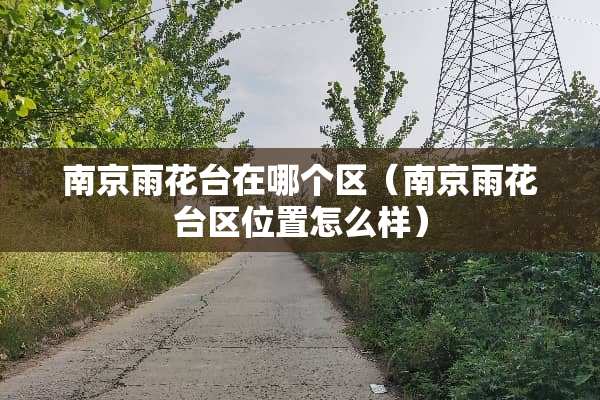 南京雨花台在哪个区（南京雨花台区位置怎么样）