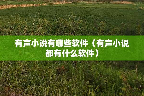 有声小说有哪些软件（有声小说都有什么软件）