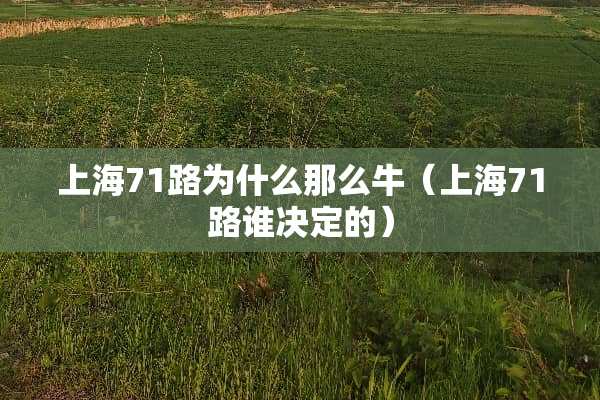 上海71路为什么那么牛（上海71路谁决定的）