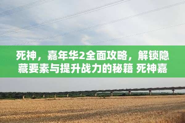 死神，嘉年华2全面攻略，解锁隐藏要素与提升战力的秘籍 死神嘉年华2攻略