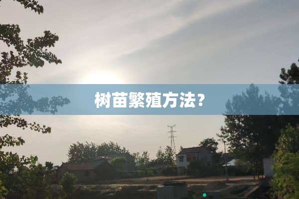 树苗繁殖方法？
