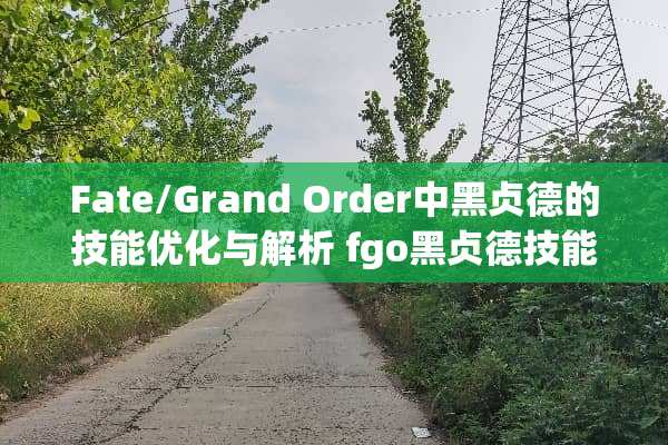 Fate/Grand Order中黑贞德的技能优化与解析 fgo黑贞德技能