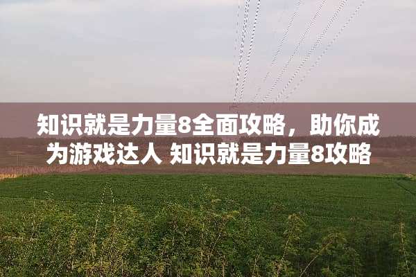 知识就是力量8全面攻略，助你成为游戏达人 知识就是力量8攻略游戏