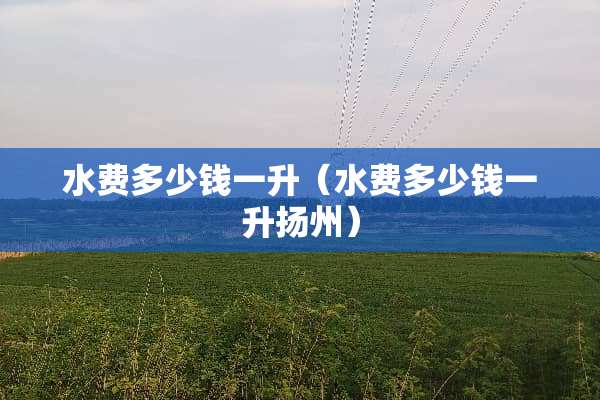 水费多少钱一升（水费多少钱一升扬州）