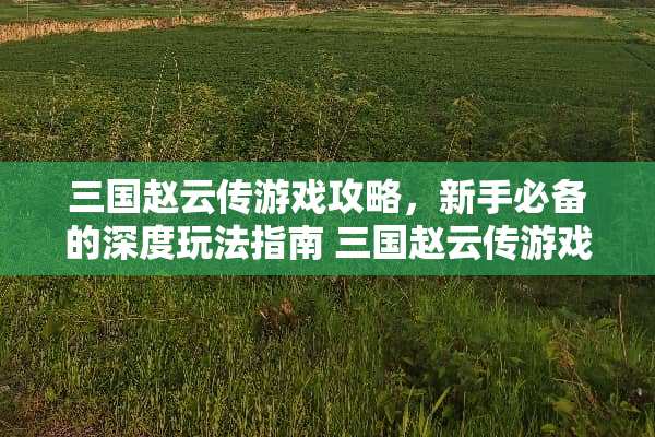 三国赵云传游戏攻略，新手必备的深度玩法指南 三国赵云传游戏攻略