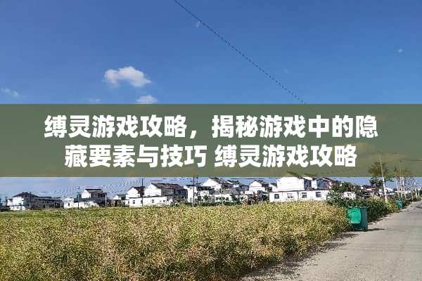 缚灵游戏攻略，揭秘游戏中的隐藏要素与技巧 缚灵游戏攻略