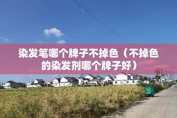 染发笔哪个牌子不掉色（不掉色的染发剂哪个牌子好）