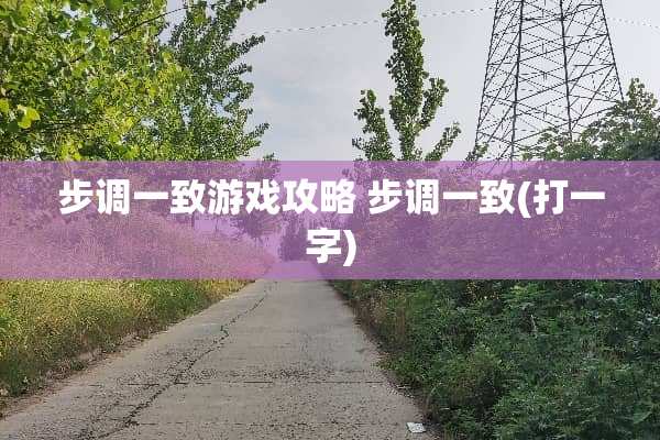 步调一致游戏攻略 步调一致(打一字)